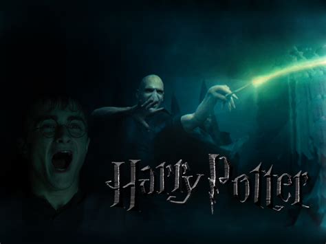 Harry Potter and Lord Voldemort - Harry Potter and Lord Voldemort ...