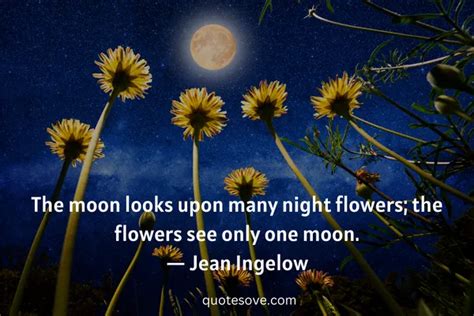 90+ Best Moon Quotes for Every Phase of Life » QuoteSove