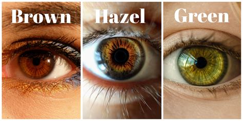 What is the best hair color for hazel eyes? - Hair Adviser | Hair colour for green eyes, Dark ...