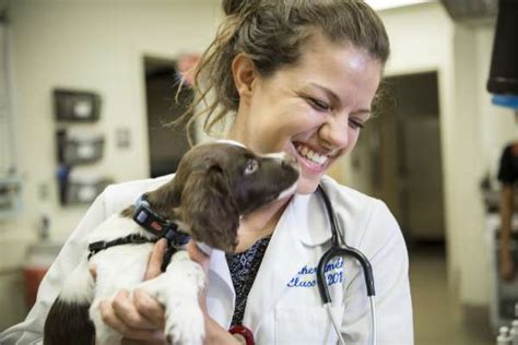 Admissions » Veterinary Education » College of Veterinary Medicine ...