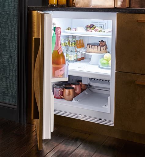 Designer Undercounter | Sub-Zero 24" Fridge/Freezer DEU2450CI