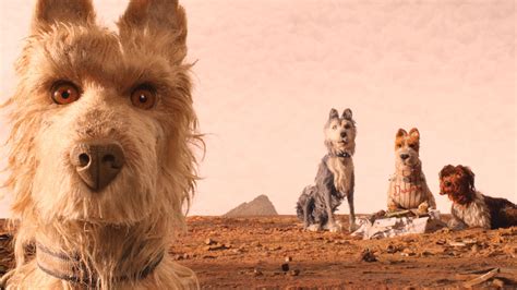 Isle of Dogs is a visual masterpiece with a heart movie review : Isle ...