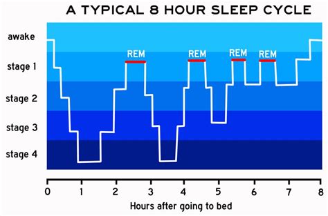 Stages Of Sleep Cycle Chart