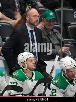 Dallas Stars head coach Peter DeBoer in the second period of an NHL ...