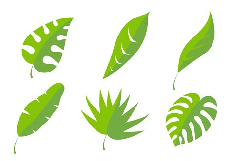 Palm Leaf Vectors - Download Free Vector Art, Stock Graphics & Images