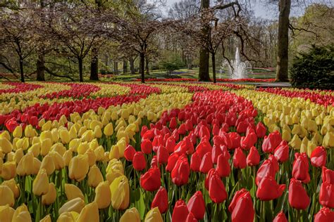 Keukenhof Tickets & Tours 2022 - Tulip Festival Amsterdam