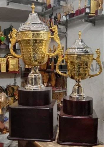 Aluminium Trophy at Rs 9900/set | Aluminum Trophy in Moradabad | ID: 2852851218112