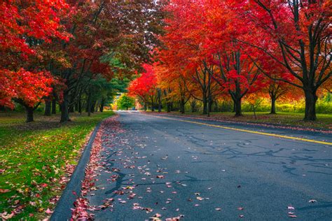 Fall Foliage Road Trips In The USA: 15 For Your Bucketlist - Linda On The Run