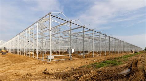 6 Common Greenhouse Structures: A Comprehensive Guide