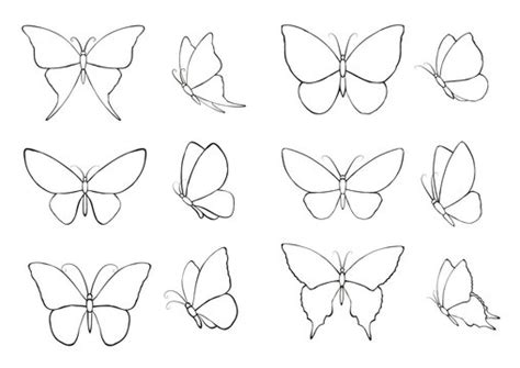 33,152 BEST Butterfly Outline IMAGES, STOCK PHOTOS & VECTORS | Adobe Stock