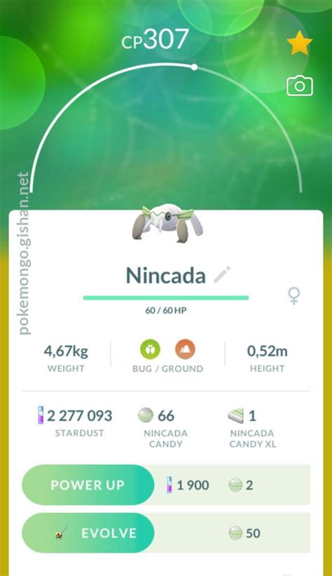 Nincada - Pokemon Go