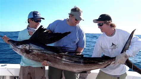 Incredible Florida Sailfish Fishing - Double Digit Day - YouTube