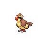 Pidgey sprites gallery | Pokémon Database