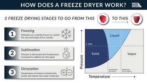 How Do Freeze Dryers Work? | North Slope Chillers