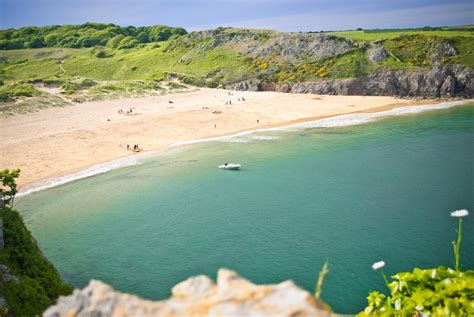 Top 8 Dog-Friendly Beaches in Pembrokeshire | The Dog People by Rover.com