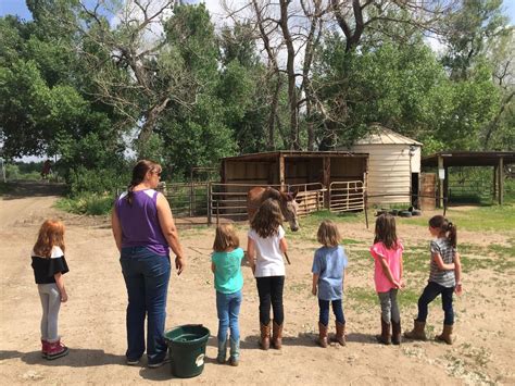 Kiddie Corral & Beginning Horsemanship! - Denver Summer Camps ...