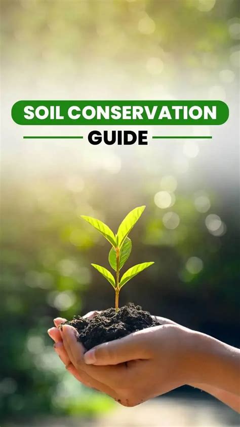 Soil Conservation Guide : Importance and Methods