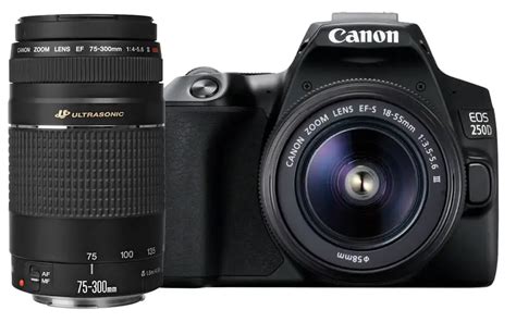 Canon EOS 250D Essential Double Lens Kit