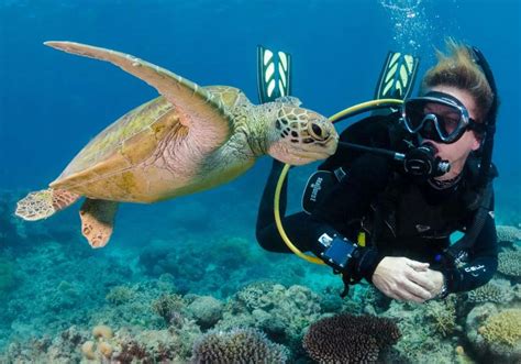 Hurghada Diving | Scuba Diving Center | PADI Courses