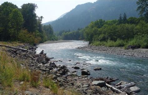 Elwha Tribe to resume limited salmon fishing in Elwha ...