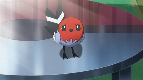 28 Fascinating And Interesting Facts About Fletchling From Pokemon ...