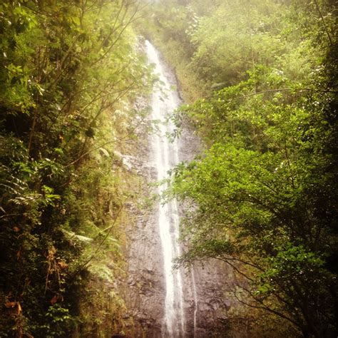 Manoa Falls -- Oahu | Manoa falls oahu, Oahu, Hawaii