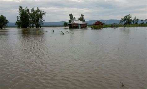 Devastating floods in Kenya leave 72 people dead and 211,000 displaced - thousands of livestock ...