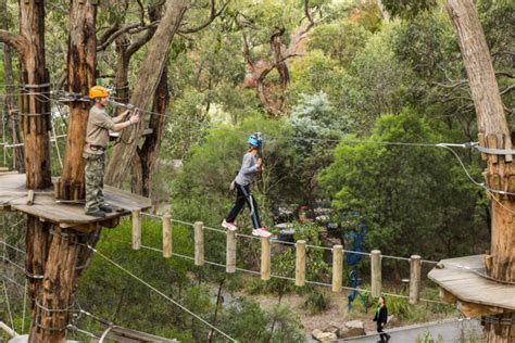 The Best Outdoor Adventure Spots in and Around Melbourne - Insider Guides