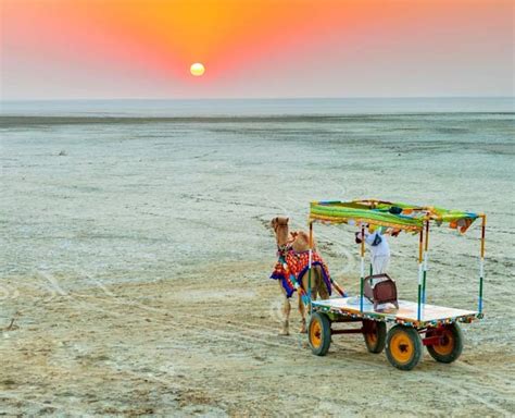 Check Out Our Essential Travel Guide Before Visiting The Rann Of Kutch ...