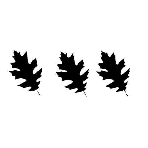 SVG > 植物 干 叶 树叶 - 免费的SVG图像和图标。 | SVG Silh
