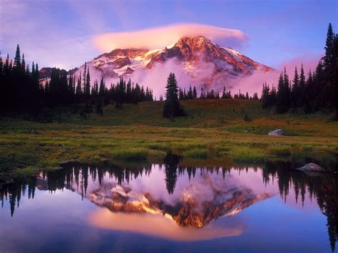 Travel Trip Journey : Mount Rainier Washington