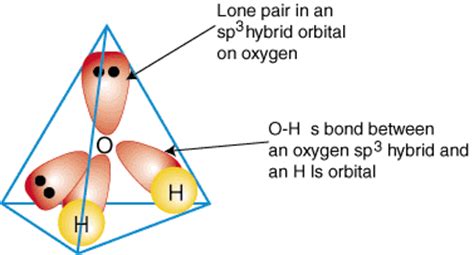 Bh3 Hybridization