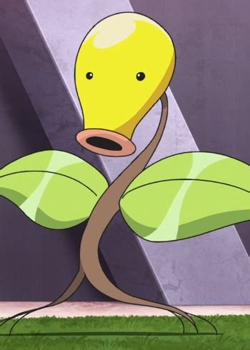 Bellsprout | Anime-Planet