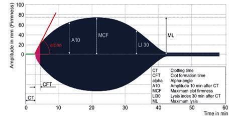 Graphic representation of ROTEM parameters (7) | Download Scientific Diagram