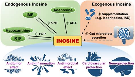 Inosine