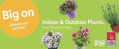 LIDL Indoor & Outdoor Plants Offers from Thursday, 27th May 2021 - https://www.olcatalogue.co.uk ...