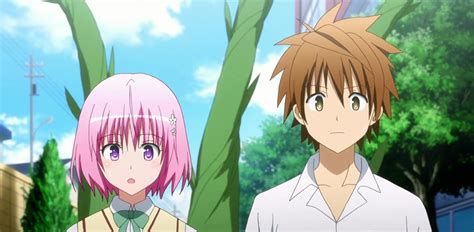 To Love-Ru Darkness Complete Season 3 Review - Spotlight Report