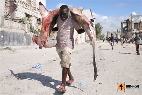 Mogadishu hell and heaven - Kanaga Africa Tours