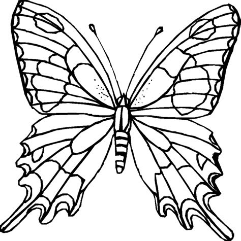 Monarch Butterfly Outline | Free download on ClipArtMag