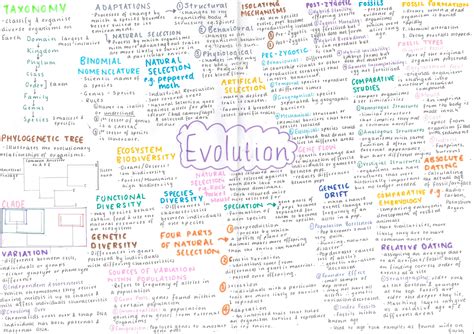 Evolution Mind map - Year 10 science: Biology - Studocu