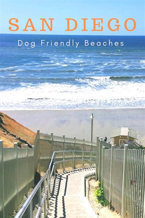 Pin on San Diego Dog Friendly Beaches