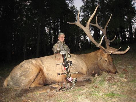 350 class - Page 2 - Elk Hunting - CouesWhitetail.com Discussion forum