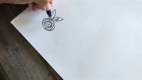 How to Draw an Open Rose - YouTube