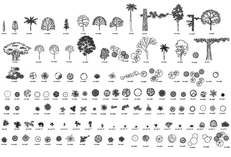 Autocad Landscape Symbols Free Download - IMAGESEE