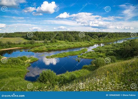 Mooi De Zomer Landelijk Landschap Met Een Rivier Stock Foto - Image of ...