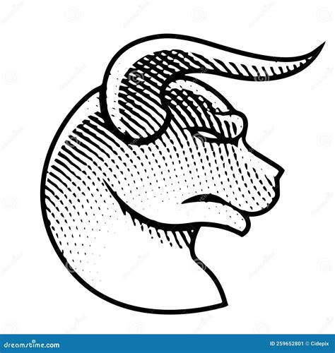 Scratchboard Engraved Bull Profile View Stock Vector - Illustration of drawing, black: 259652801