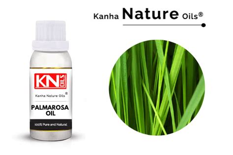 PALMAROSA OIL - KANHA NATURE OILS (Essential oil manufacturer)