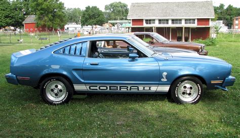 11 1976 Cobra ford mustang