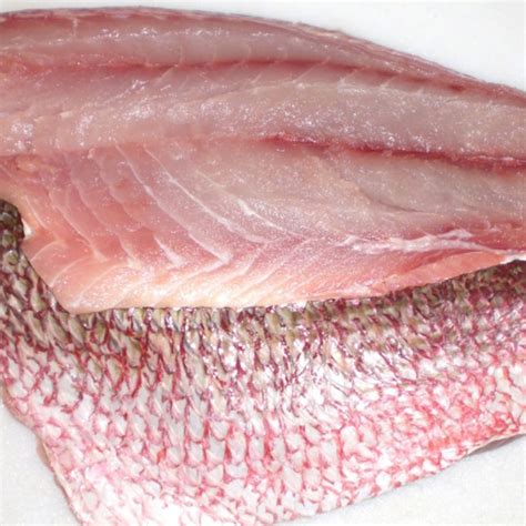 Oven Baked or Pan Fried Red Snapper Fish Recipe - Red Snapper Fish, Red Snapper Fish Wholesale ...
