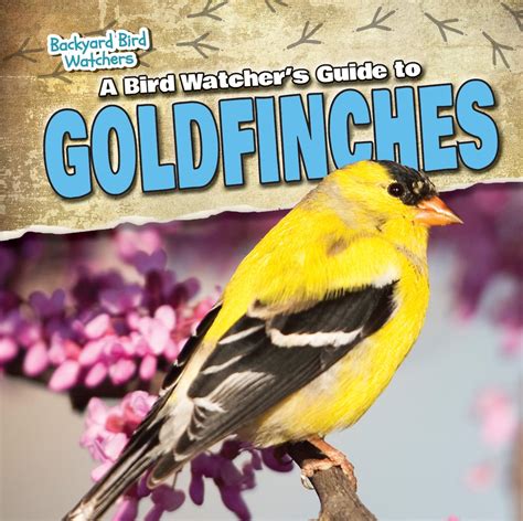 Backyard Bird Watchers: A Bird Watcher's Guide to Goldfinches (Hardcover) - Walmart.com ...